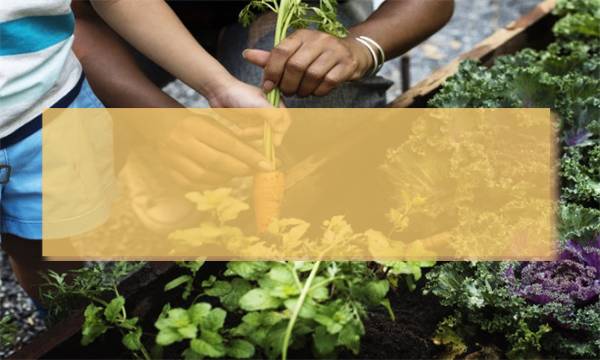 ȫ��100����У��Ԫ���Ծ�����Ӣ���12�״�ͼƬ